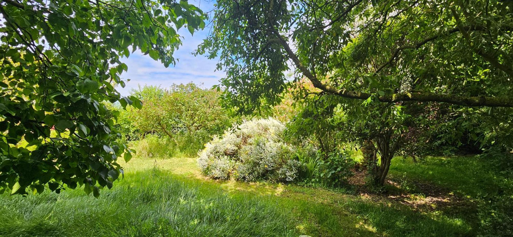 La Petite Maison Вимере Экстерьер фото